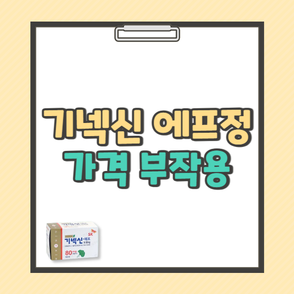 기넥신 에프정 80mg 효능 복용법 부작용 가격