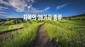 토지지목