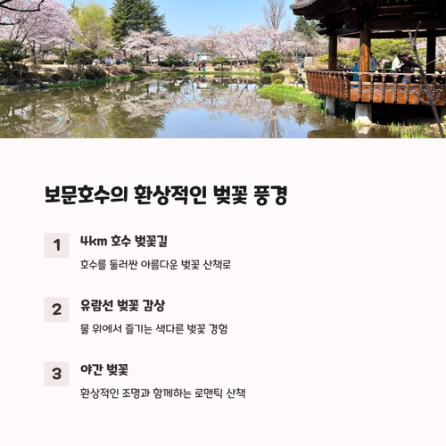 보문호수 벚꽃길