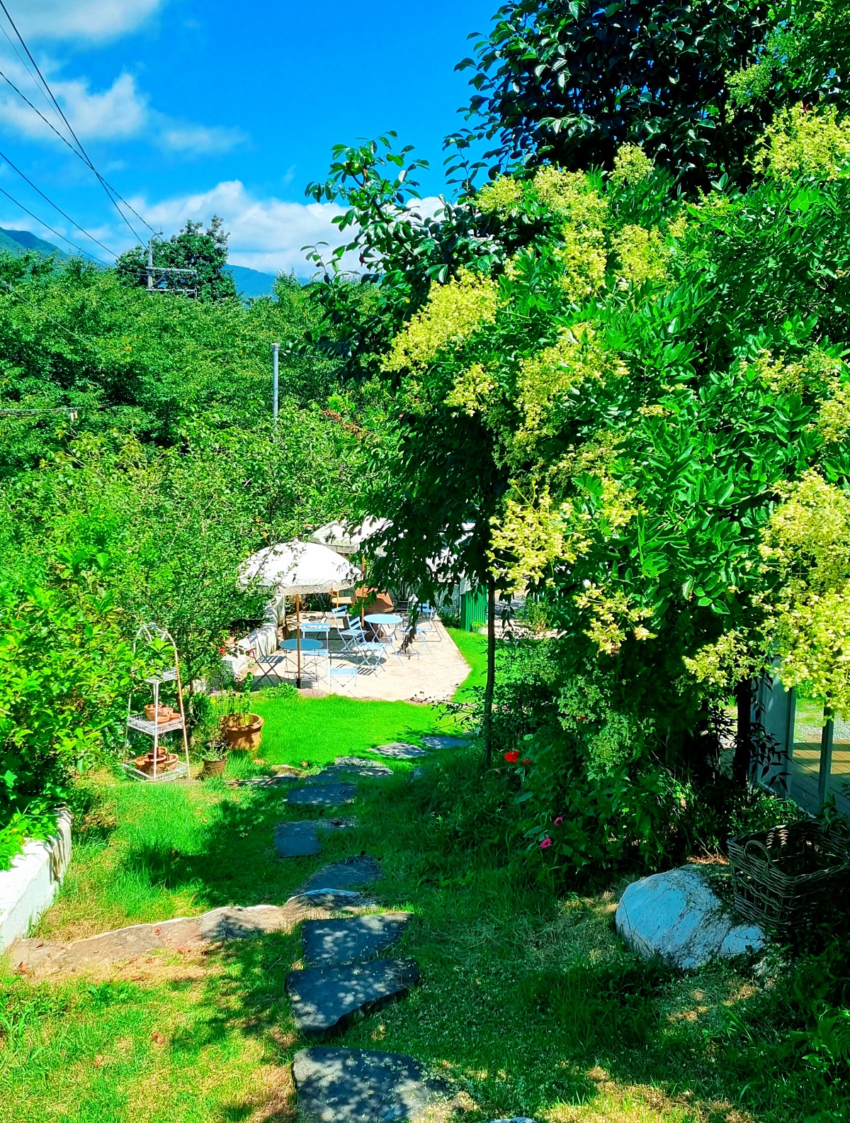 블루리본 브런치 카페 플래닛 1020: 경남 하동 지리산 쌍계사 근처 현지인 추천 맛집