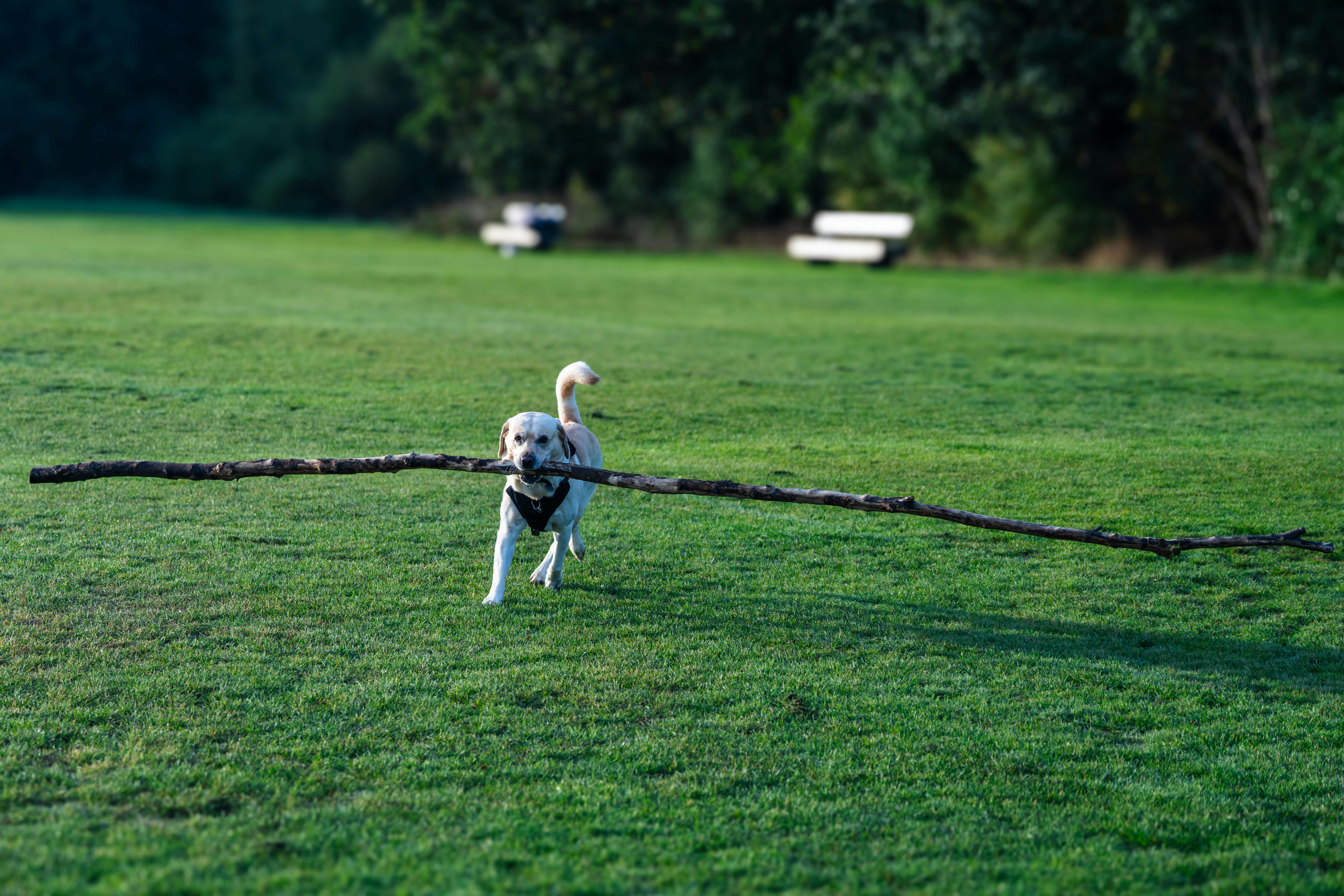 친한 친구와 싸우고 곧 화해하는을 상징하는 이미지