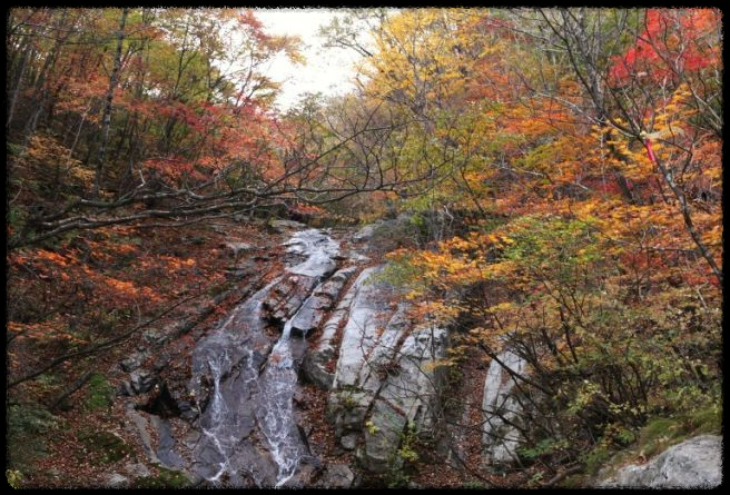 2024 가을&amp;#44; 국내 단풍 명소 추천: 절정 시기와 여행 팁까지 완벽 가이드