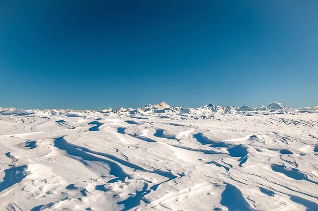 포르투갈 전통주 아과르덴트 벨랴 포도주 증류 고급 브랜디_5