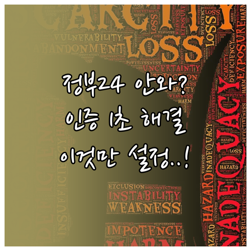 아이폰 안드로이드 정부24 인증 요청..