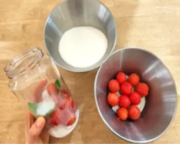 율봄식물원 토마토 시즌_7