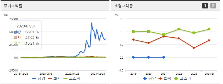 금양 주가,배당 수익률 지표