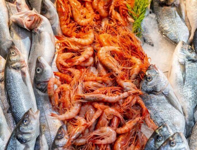 5월-수산대전-가정의달-특별전-수산시장-수산물