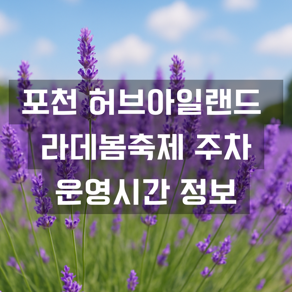 포천 허브아일랜드 라데봄축제