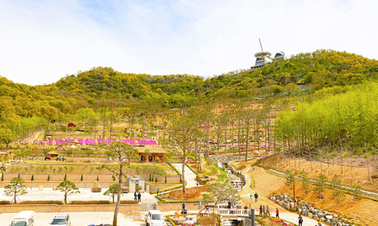 강화도 화개정원