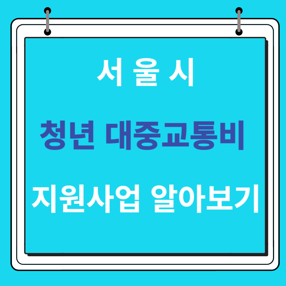 서울시 청년 대중교통비 지원