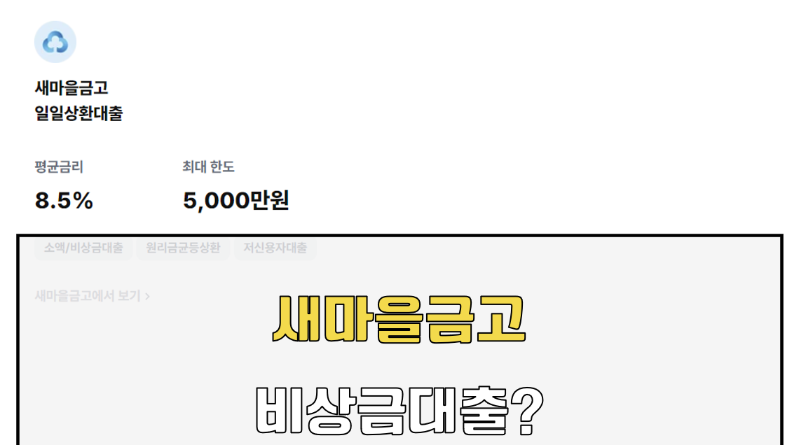 새마을금고 비상금대출