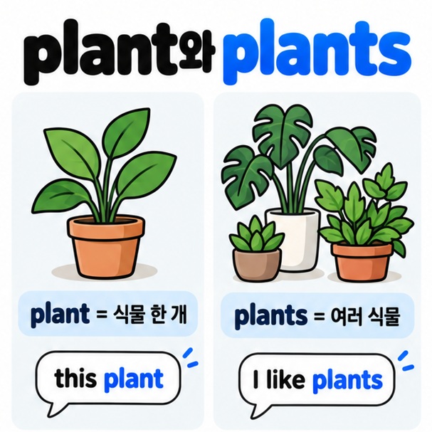 plant와 plants의 단수 복수 차이를 식물 한 개와 여러 개로 비교한 카드뉴스