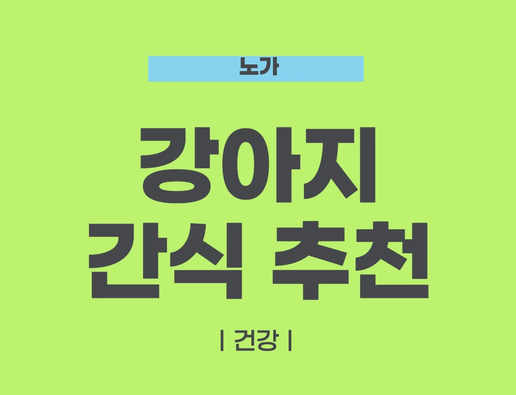 강아지 간식 추천