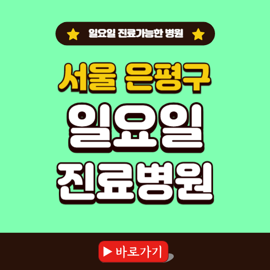 서울 은평구 일요일 진료 가능한 병원 ❘ 주말 문여는 곳 총정리 (소아과, 내과, 안과, 치과, 피부과, 정형외과, 산부인과)