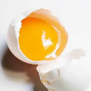 무항생제 계란