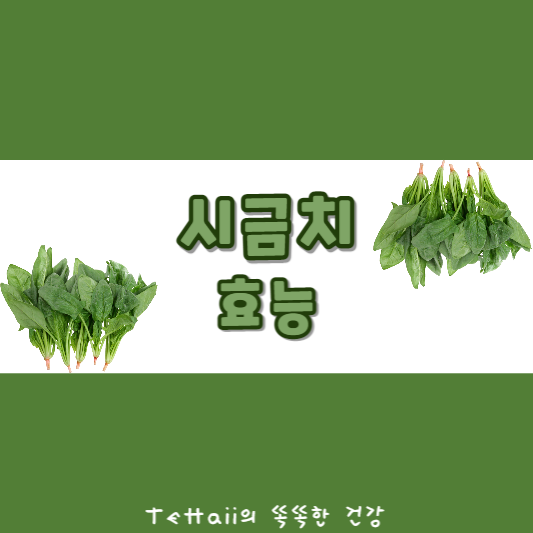 시금치 효능 섬네일