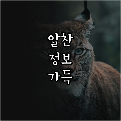 태아 건강 필수 2025 익산 임산부..