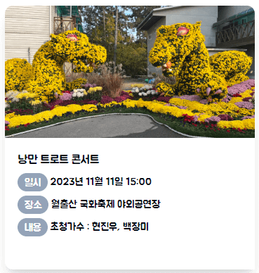 월출산 국화축제