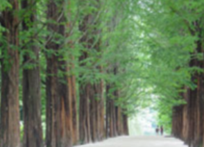 겨울 여행지 추천