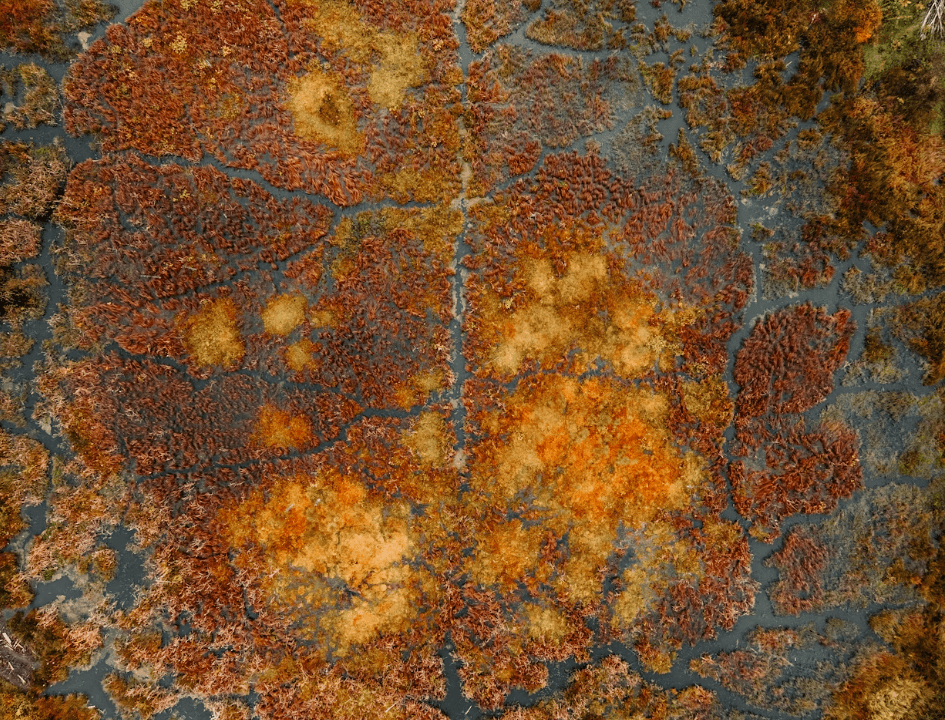 2025 기초생활수급자 조건 소득·재산·자동차 기준