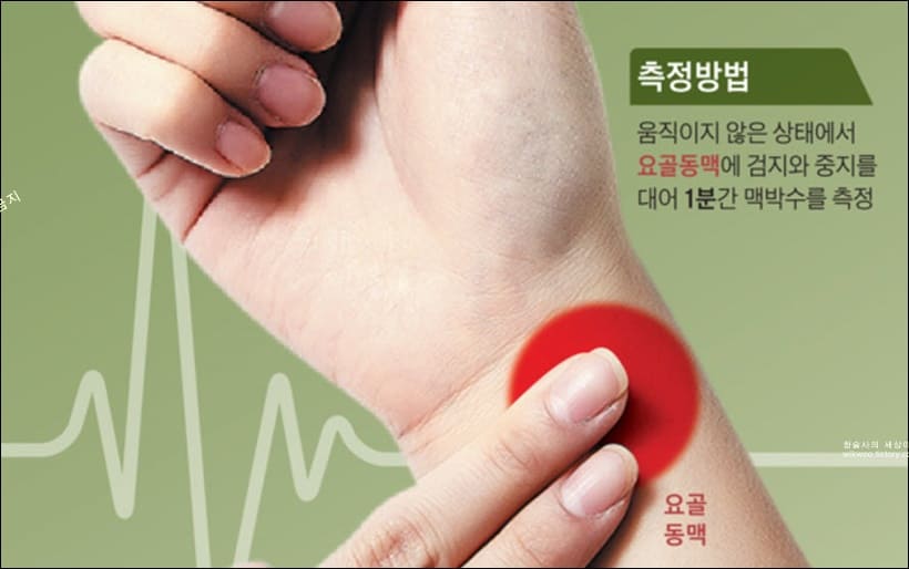 심박수 측정방법