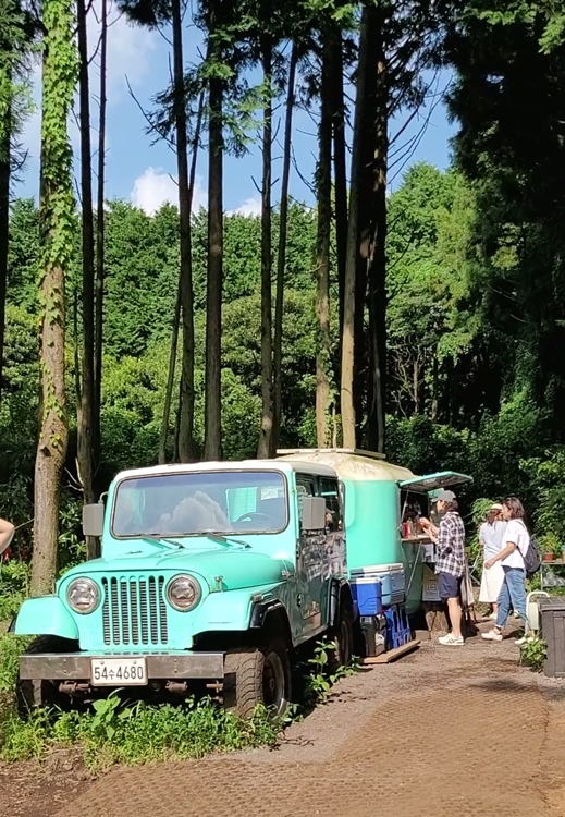 제주-가족여행-코스-마음디톡스-비밀의 숲-휴양림