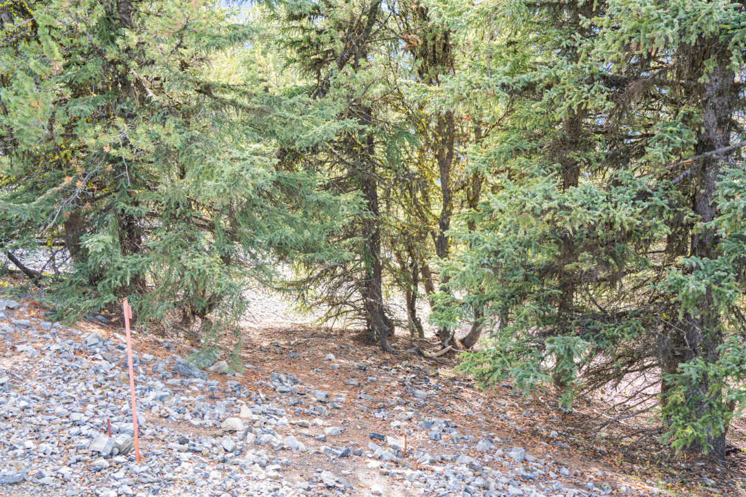 캐나다 밴프 곤돌라 정상