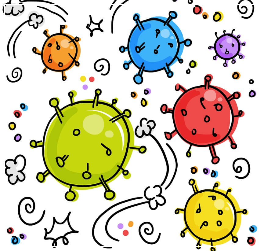코엔자임 큐텐의 효능