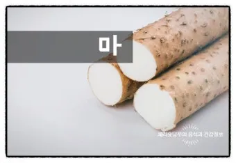 마 효능 보관법 먹는법 마즙 만들기까지 종합 가이드_6