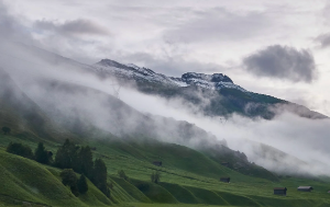 탄소중립은 가능할까? 현실과 과제 사이에서