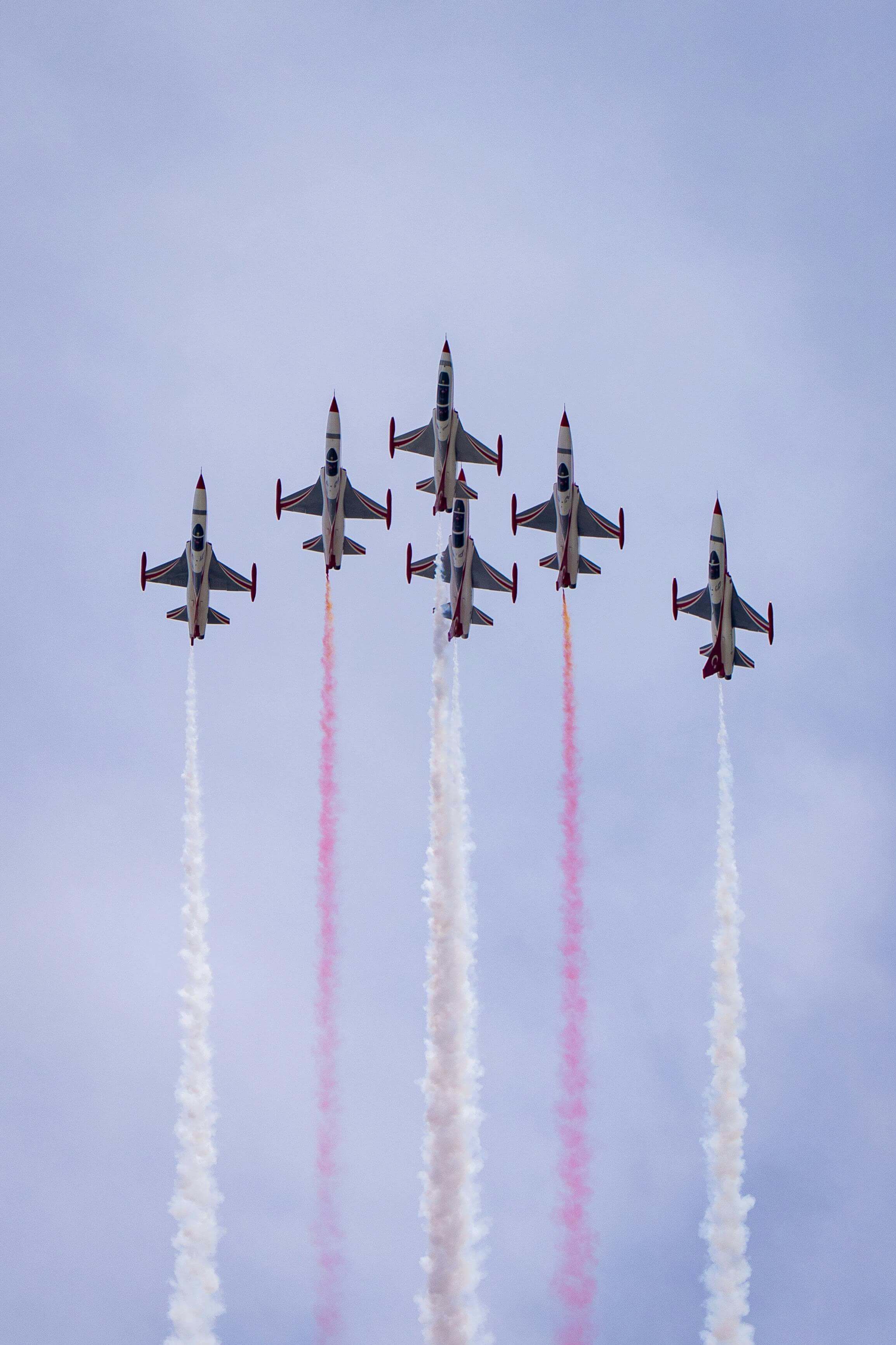 밀리패스 가족등록 방법 군인 가족 모바일 신분증 등록