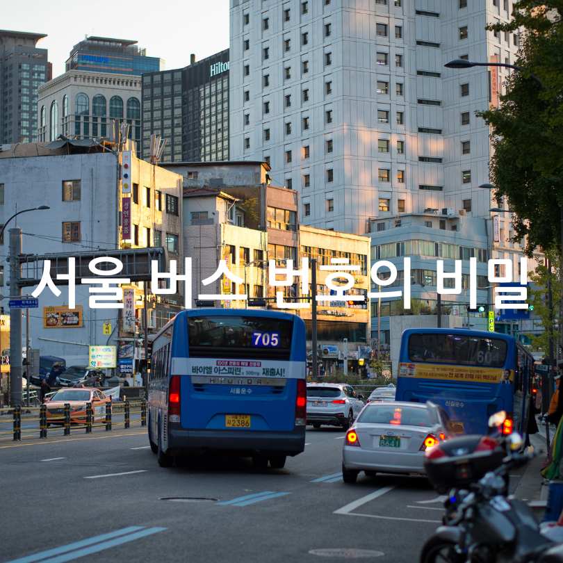 서울 버스 번호 비밀, 규칙
