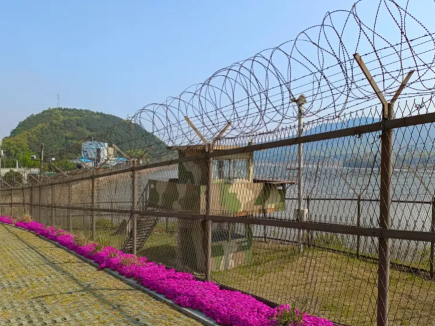 DMZ 지뢰 폭발