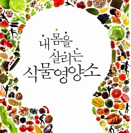 식물 영양소