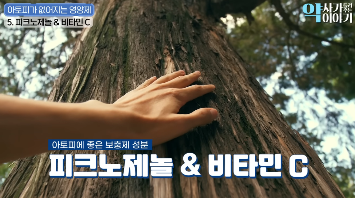 아토피-영양제-피크노제놀-비타민C