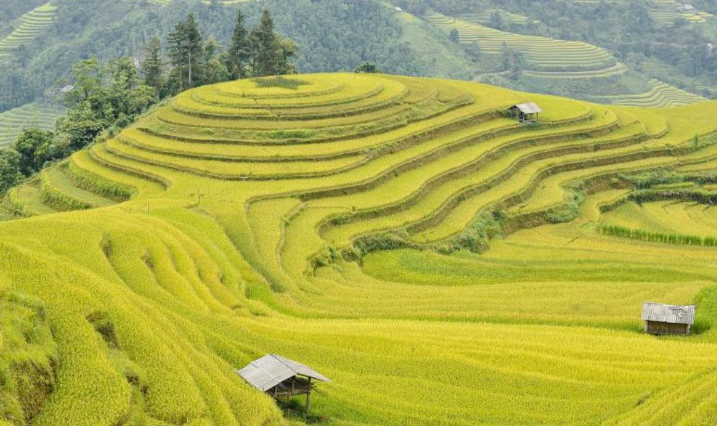 꼭 가봐야 할 명소 베트남