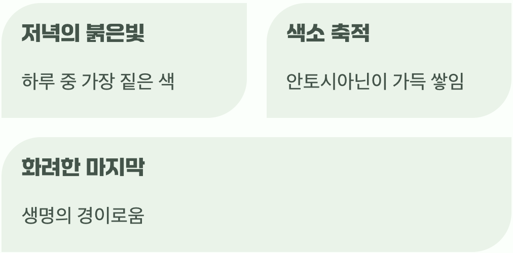 저녁의 만취한 모습, 취부용