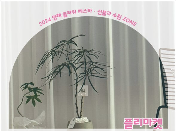 초르시