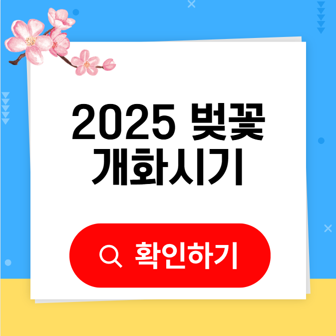 벚꽃 개화시기