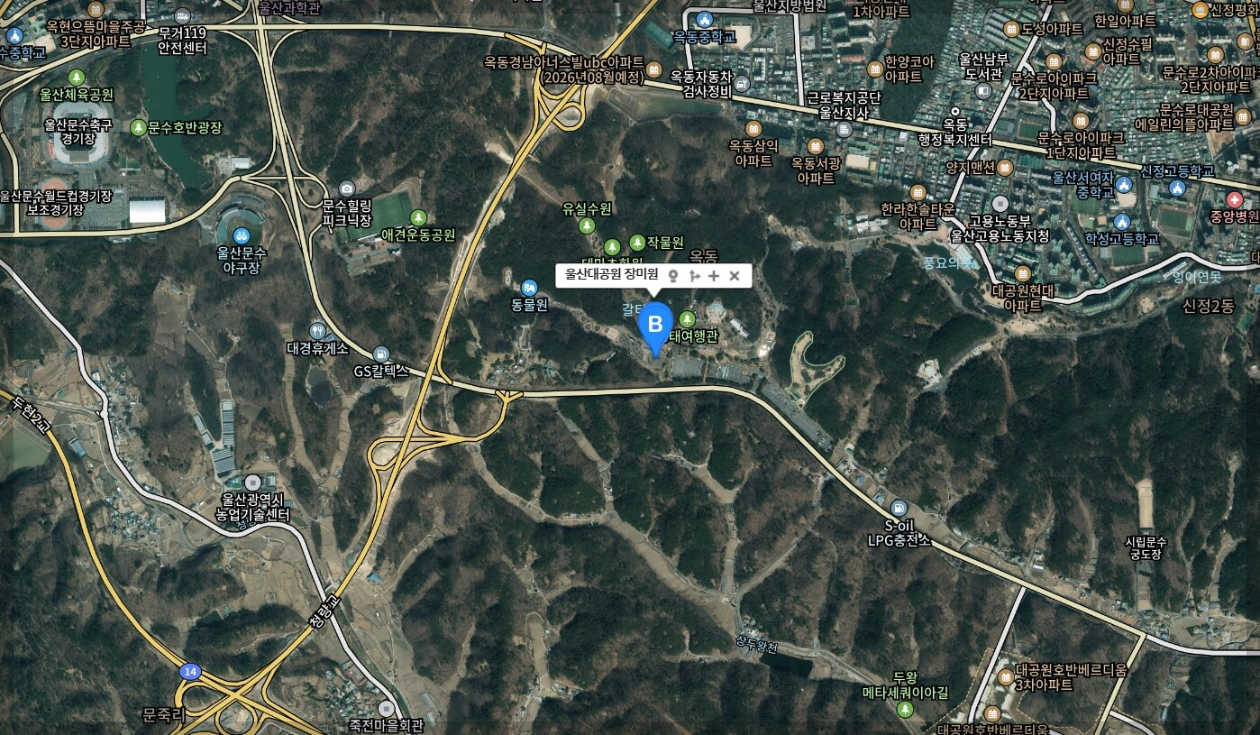 울산대공원 장미축제 가는길 일정 입장료 [총정리]