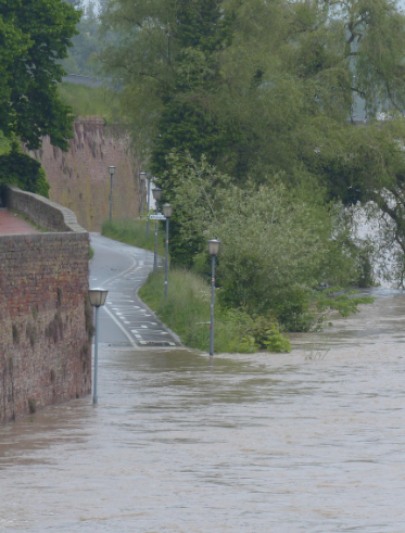폭우피해보상 - 금융지원&amp;#44; 긴급생활안정자금&amp;#44; 납입유예&amp;#44; 융자연장&amp;#44; 카드청구유예&amp;#44; 채무조정까지