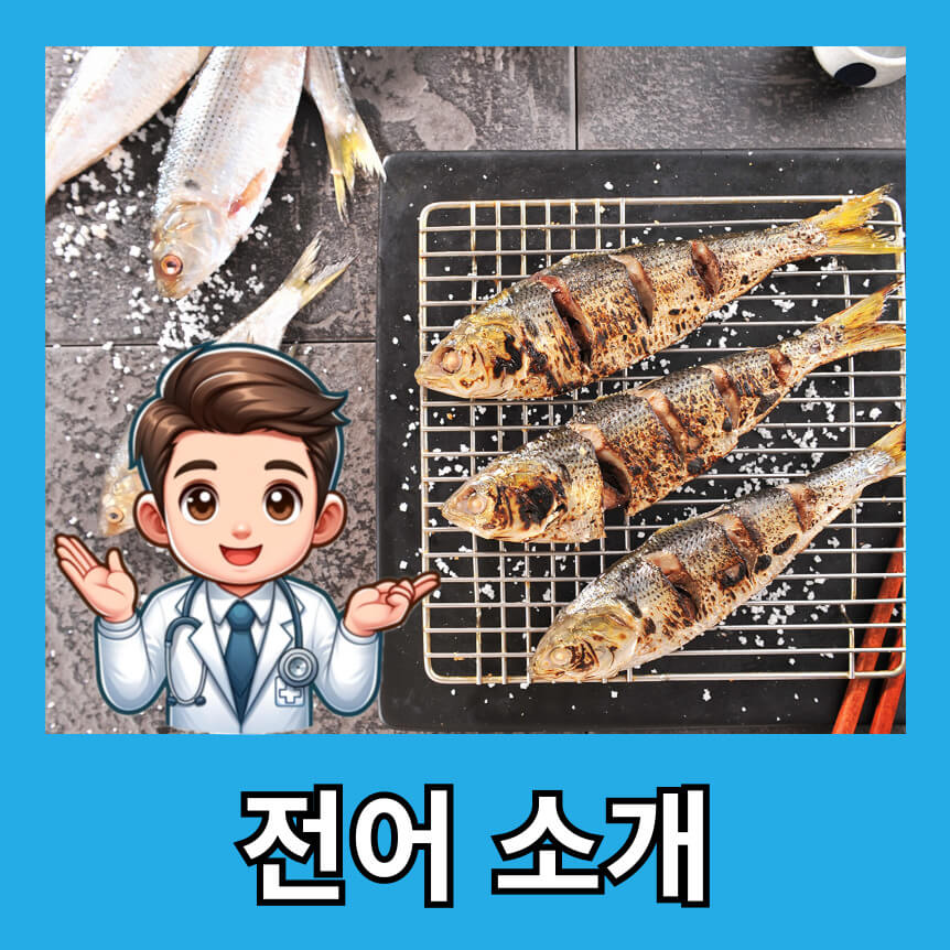 전어 소개
