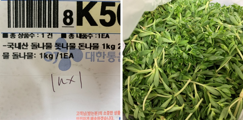 돌나물-물김치-담그는법-01