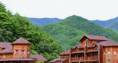 INFP 유형 특징 분석