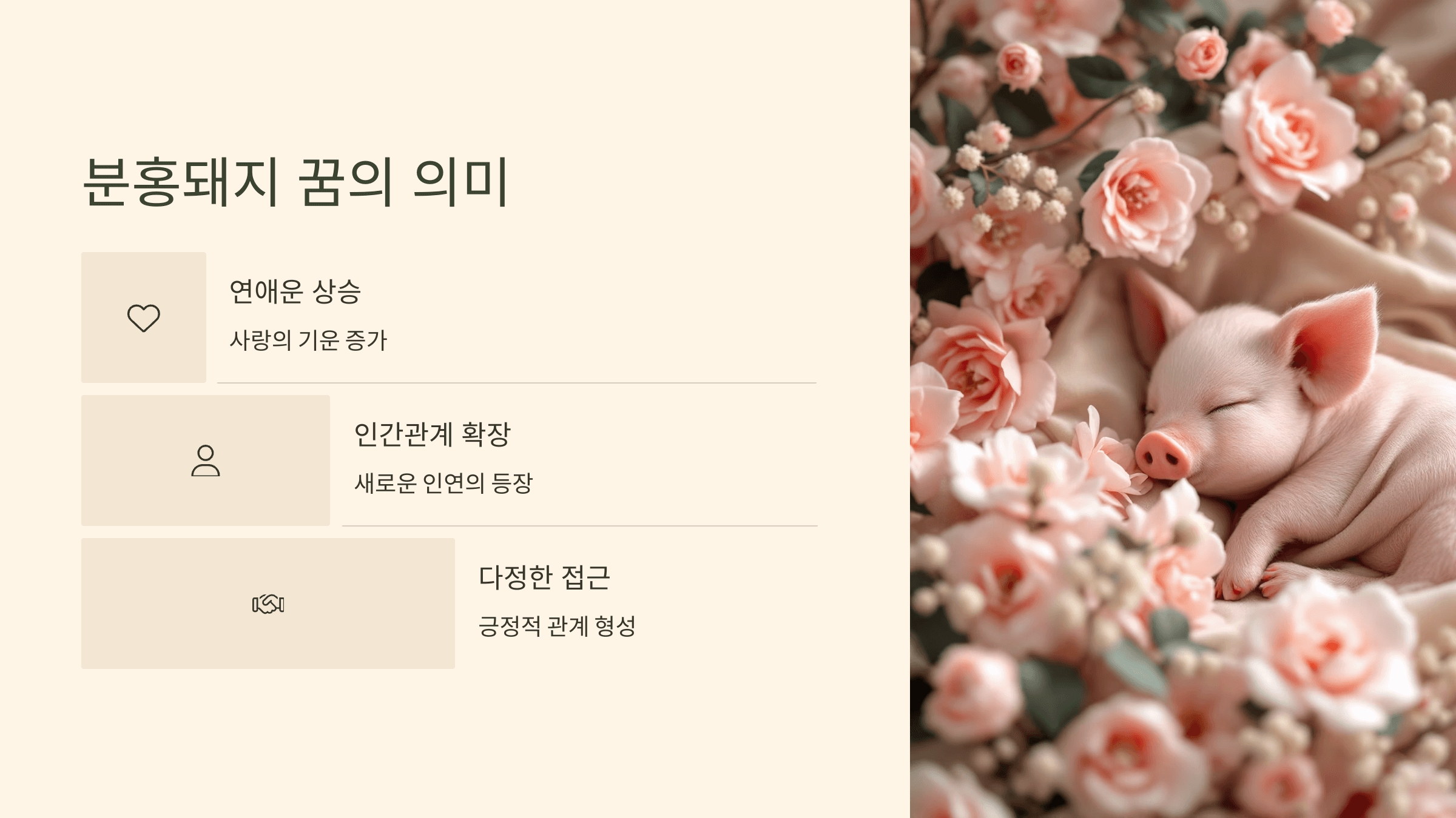 돼지 사진입니다.