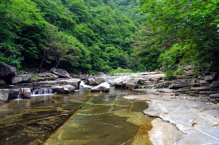 주은 자연휴양림 캠핑장