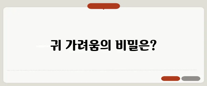 귀속이 가려운 이유 외이도염 전조일 수도