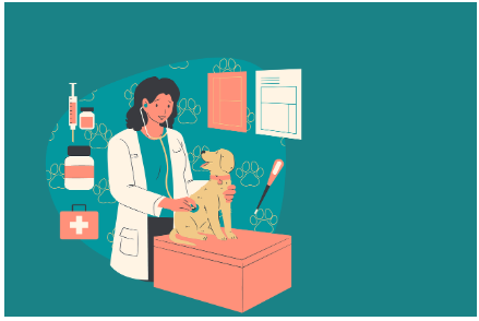 강아지 피부병 증상과 초기 대처법 - 빠른 대응이 건강을 지킵니다!