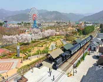 곡성 장미축제_9