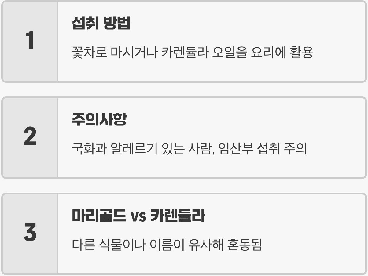 금송화 효능 A to Z (피부 진정, 염증, 눈 건강 총정리)